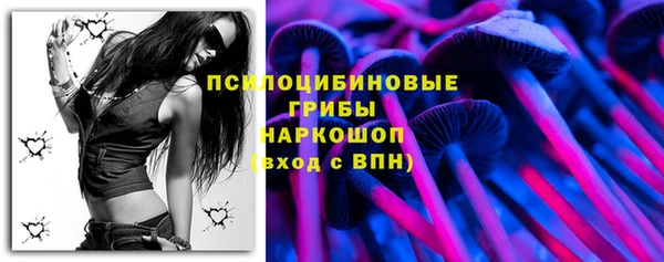 прущие крисы Арсеньев