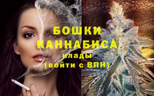 бошки Аркадак