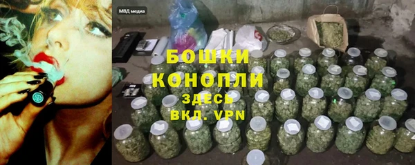 бошки Аркадак