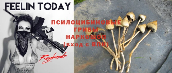 прущие крисы Арсеньев